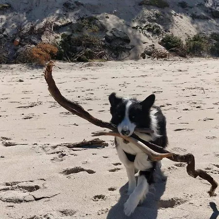 Apartment 33 Z Ogrodem