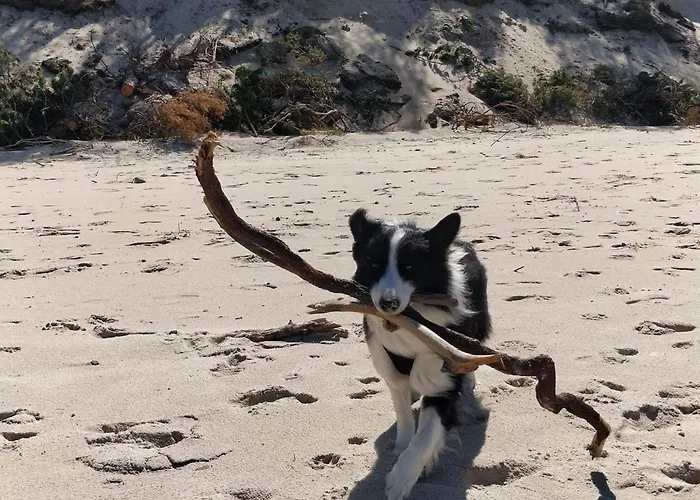 Lägenhet 33 Z Ogrodem